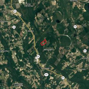 Photo #46 of 6267 River Road, White Oak, NC 120.2 acres