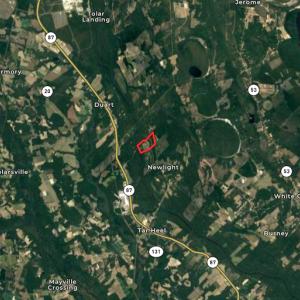 Photo #46 of SOLD property in 6267 River Road, White Oak, NC 120.2 acres