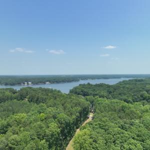 Photo #2 of SOLD property in Off Pasture Gate Road, Macon, NC 29.9 acres