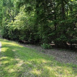 Photo #10 of SOLD property in Off Pasture Gate Road, Macon, NC 29.9 acres