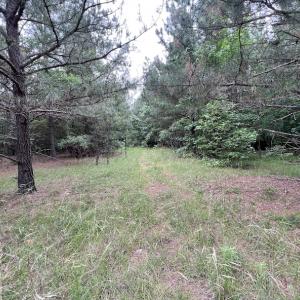 Photo #11 of SOLD property in Off Pasture Gate Road, Macon, NC 29.9 acres