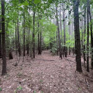 Photo #12 of SOLD property in Off Pasture Gate Road, Macon, NC 29.9 acres