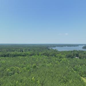 Photo #3 of SOLD property in Off Pasture Gate Road, Macon, NC 29.9 acres