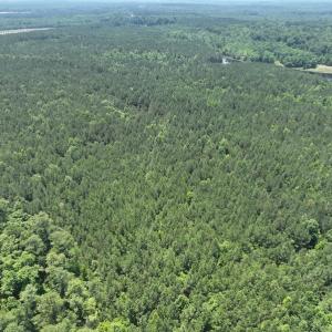 Photo #7 of SOLD property in Off Pasture Gate Road, Macon, NC 29.9 acres