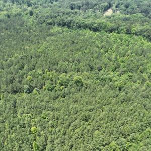 Photo #8 of SOLD property in Off Pasture Gate Road, Macon, NC 29.9 acres