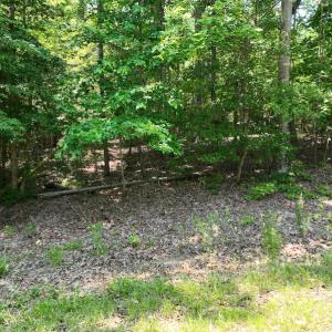 Photo #17 of SOLD property in Off Pasture Gate Road, Macon, NC 29.9 acres