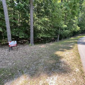 Photo #20 of SOLD property in Off Pasture Gate Road, Macon, NC 29.9 acres