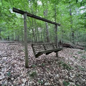 Photo #22 of SOLD property in Off Pasture Gate Road, Macon, NC 29.9 acres