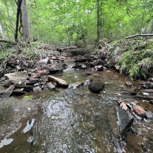 Photo #19 of SOLD property in Off Pasture Gate Road, Macon, NC 29.9 acres