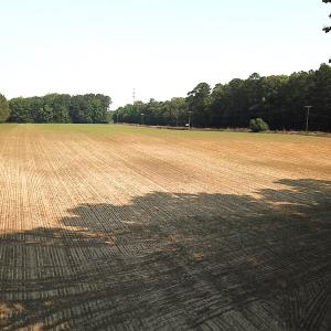 Photo #11 of SOLD property in Off Rt. 460, Ivor, VA 22.9 acres
