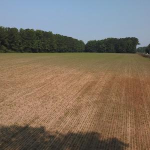 Photo #13 of SOLD property in Off Rt. 460, Ivor, VA 22.9 acres