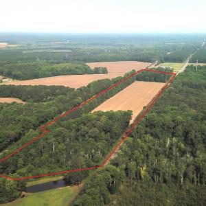 Photo #3 of SOLD property in Off Rt. 460, Ivor, VA 22.9 acres