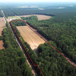 Photo #4 of SOLD property in Off Rt. 460, Ivor, VA 22.9 acres