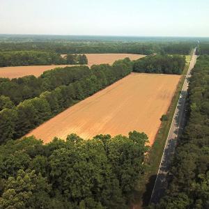 Photo #8 of SOLD property in Off Rt. 460, Ivor, VA 22.9 acres