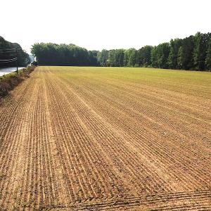 Photo #9 of SOLD property in Off Rt. 460, Ivor, VA 22.9 acres