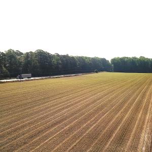 Photo #10 of SOLD property in Off Rt. 460, Ivor, VA 22.9 acres