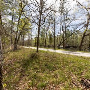 Photo #21 of SOLD property in Off Riverview Drive, Burgaw, NC 1.5 acres