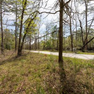 Photo #22 of SOLD property in Off Riverview Drive, Burgaw, NC 1.5 acres