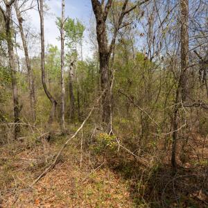 Photo #23 of SOLD property in Off Riverview Drive, Burgaw, NC 1.5 acres