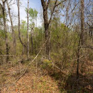 Photo #23 of SOLD property in Off Riverview Drive, Burgaw, NC 1.5 acres