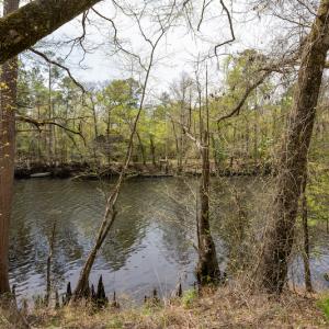 Photo #25 of SOLD property in Off Riverview Drive, Burgaw, NC 1.5 acres