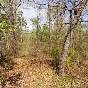 Photo #26 of SOLD property in Off Riverview Drive, Burgaw, NC 1.5 acres