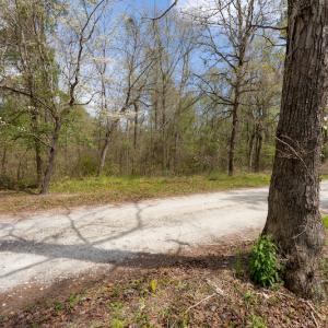 Photo #27 of SOLD property in Off Riverview Drive, Burgaw, NC 1.5 acres