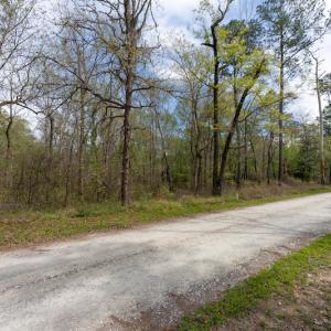Photo #28 of SOLD property in Off Riverview Drive, Burgaw, NC 1.5 acres