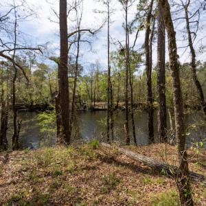 Photo #30 of SOLD property in Off Riverview Drive, Burgaw, NC 1.5 acres