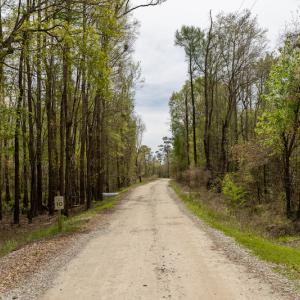 Photo #45 of SOLD property in Off Riverview Drive, Burgaw, NC 1.5 acres