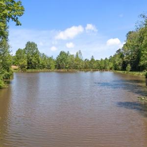 Photo #36 of SOLD property in 15163 Rice Rd, Beaverdam, VA 37.6 acres