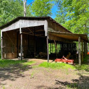 Photo #43 of SOLD property in 15163 Rice Rd, Beaverdam, VA 37.6 acres