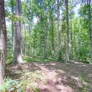 Photo #47 of SOLD property in 15163 Rice Rd, Beaverdam, VA 37.6 acres