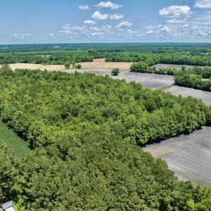 Photo #9 of SOLD property in East Old Dover Road , Dover, NC 15.0 acres