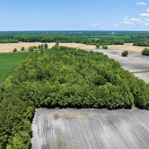 Photo #10 of SOLD property in East Old Dover Road , Dover, NC 15.0 acres