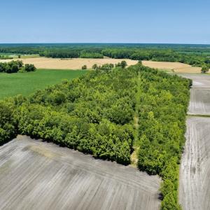 Photo #11 of SOLD property in East Old Dover Road , Dover, NC 15.0 acres