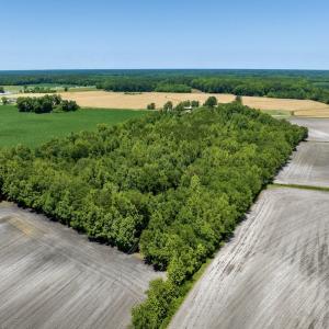 Photo #12 of SOLD property in East Old Dover Road , Dover, NC 15.0 acres