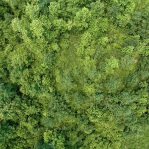 Photo #14 of SOLD property in East Old Dover Road , Dover, NC 15.0 acres