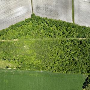 Photo #15 of SOLD property in East Old Dover Road , Dover, NC 15.0 acres