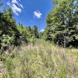 Photo #21 of SOLD property in East Old Dover Road , Dover, NC 15.0 acres