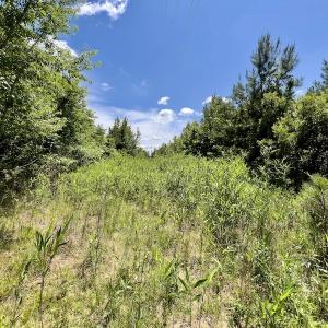 Photo #22 of SOLD property in East Old Dover Road , Dover, NC 15.0 acres