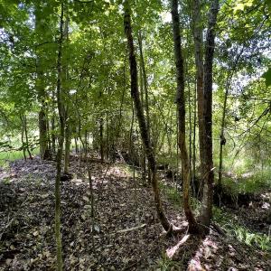 Photo #23 of SOLD property in East Old Dover Road , Dover, NC 15.0 acres