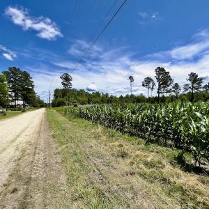 Photo #24 of SOLD property in East Old Dover Road , Dover, NC 15.0 acres