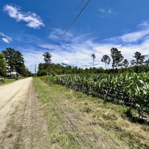 Photo #24 of East Old Dover Road , Dover, NC 15.0 acres