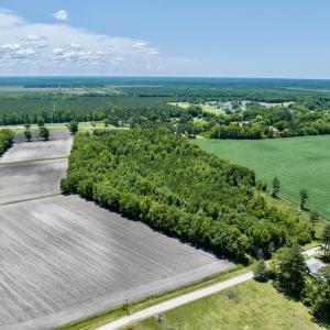 Photo #4 of SOLD property in East Old Dover Road , Dover, NC 15.0 acres