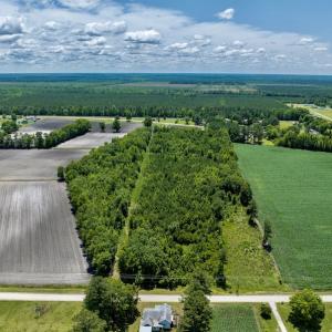 Photo #5 of SOLD property in East Old Dover Road , Dover, NC 15.0 acres