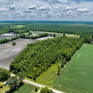 Photo #6 of SOLD property in East Old Dover Road , Dover, NC 15.0 acres