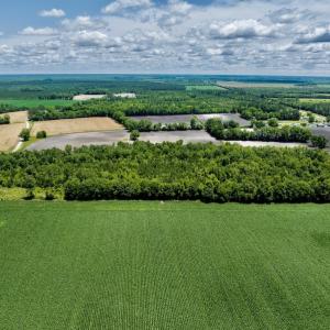 Photo #8 of SOLD property in East Old Dover Road , Dover, NC 15.0 acres