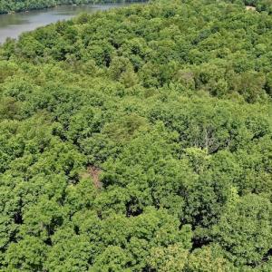 Photo #4 of Off Robin Ridge Court, Pittsville, VA 3.9 acres