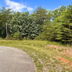 Photo #19 of Off Robin Ridge Court, Pittsville, VA 3.9 acres